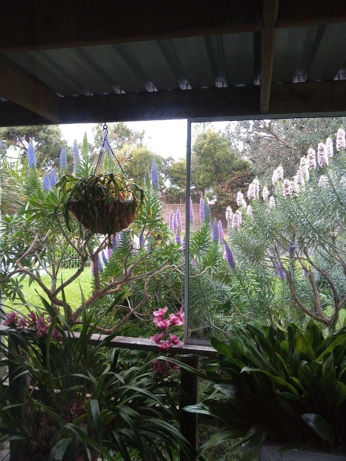 Lakes Entrance Waterfront Cottages With King Beds Extérieur photo