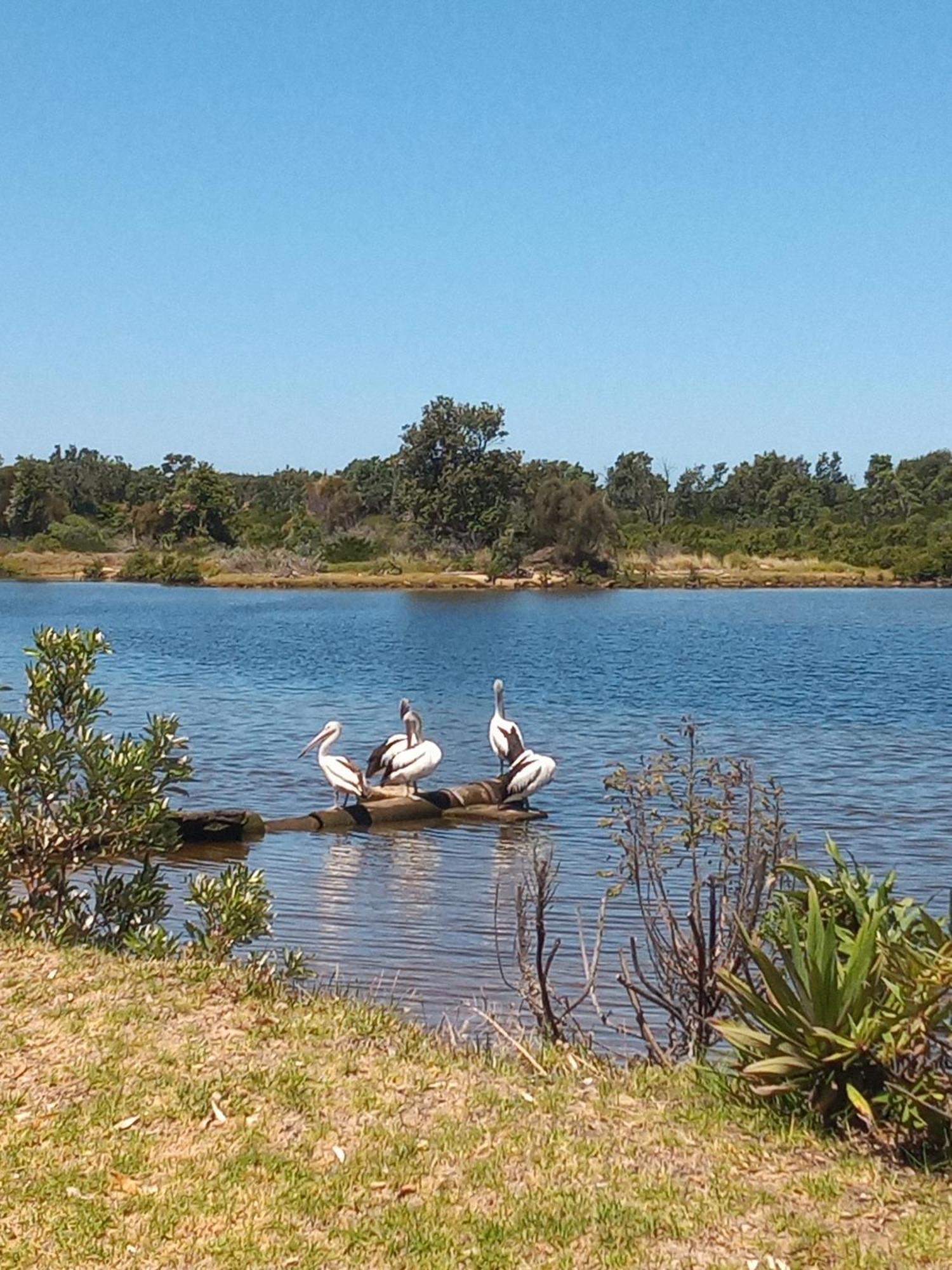 Lakes Entrance Waterfront Cottages With King Beds Extérieur photo