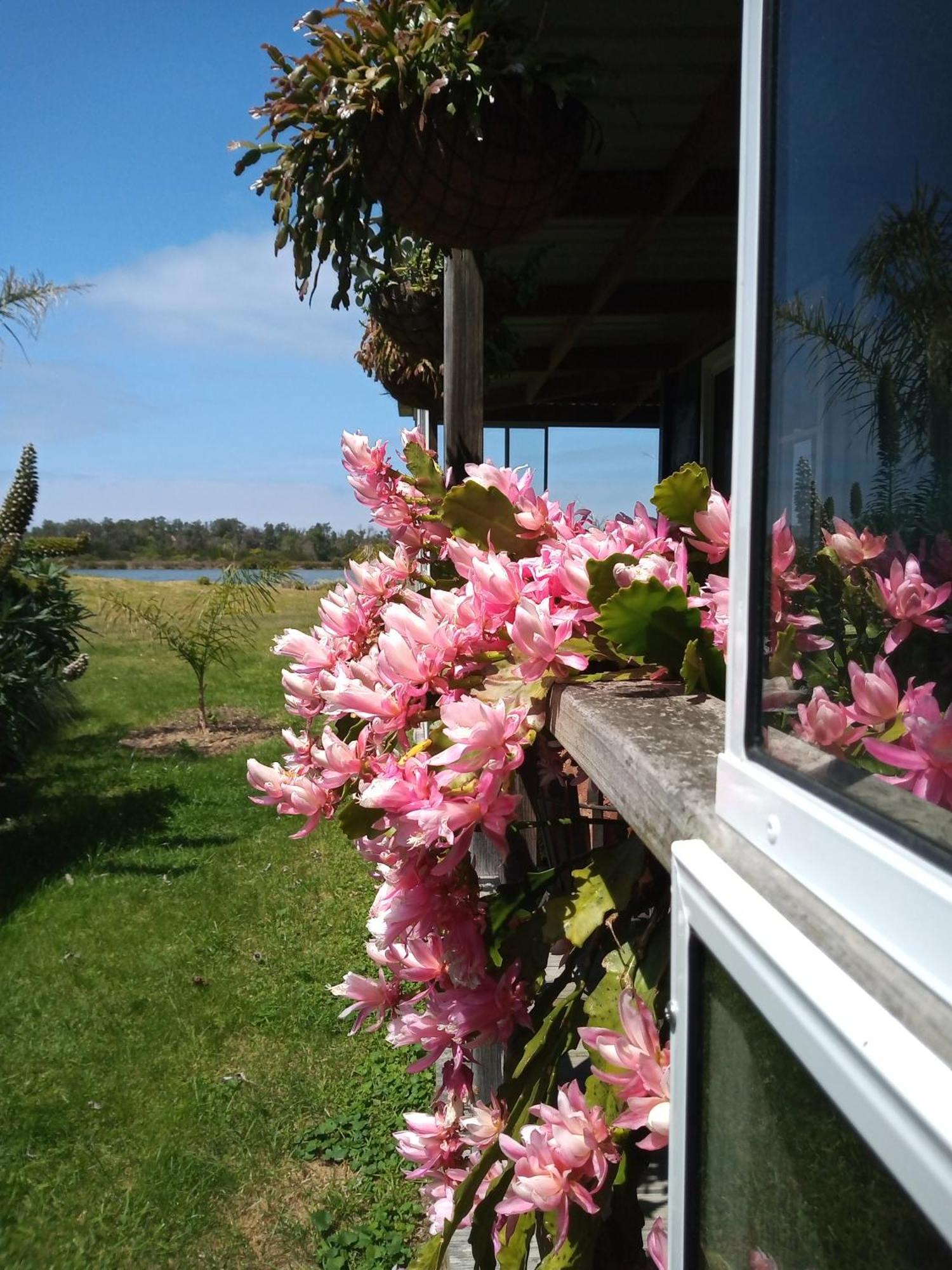 Lakes Entrance Waterfront Cottages With King Beds Extérieur photo
