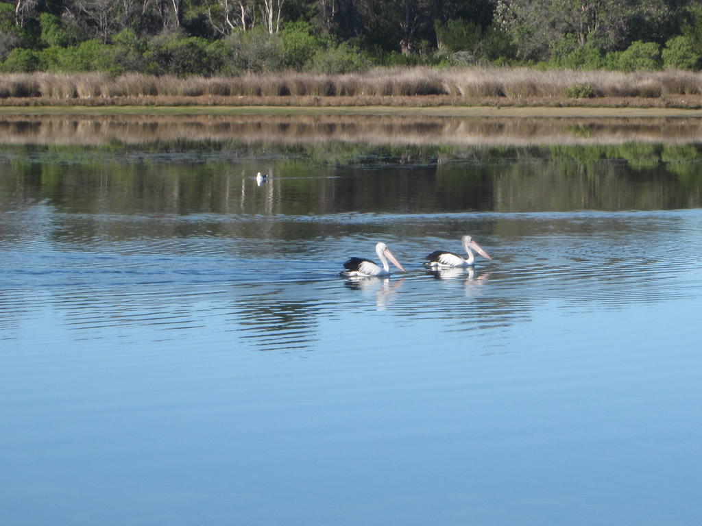 Lakes Entrance Waterfront Cottages With King Beds Extérieur photo